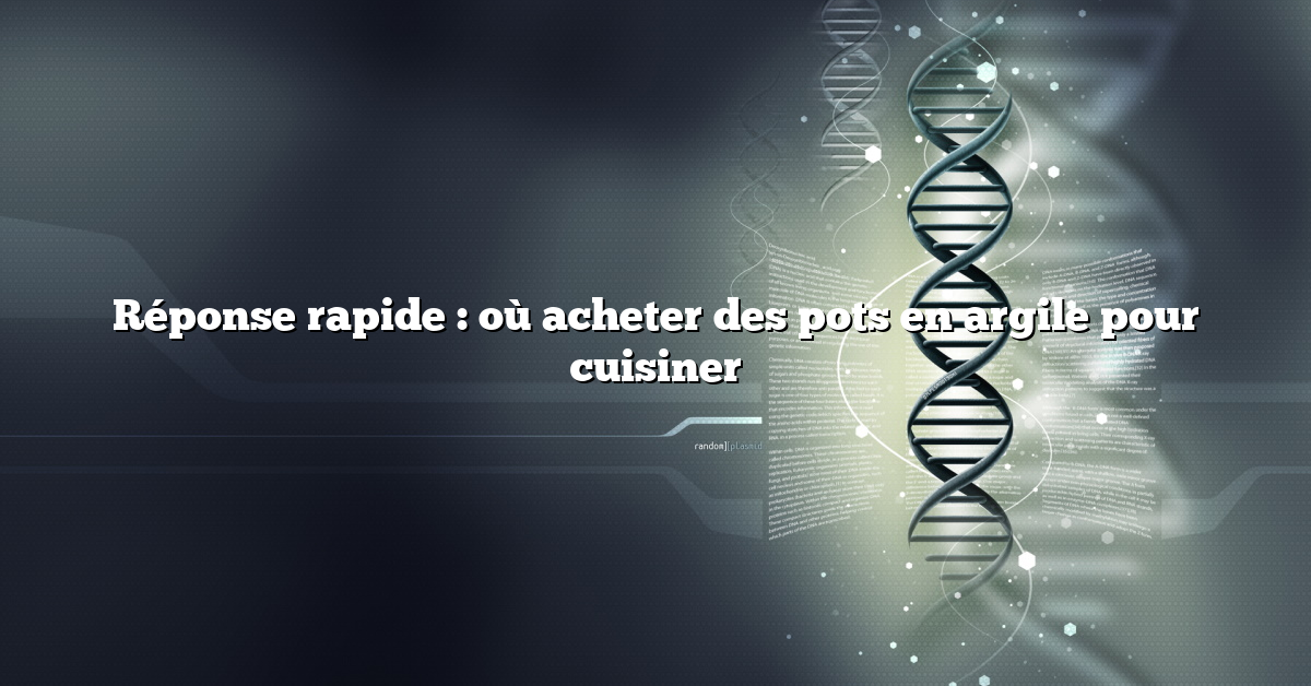 Réponse rapide : où acheter des pots en argile pour cuisiner